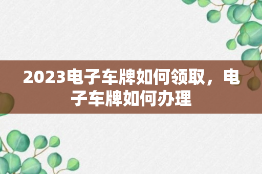 2023电子车牌如何领取，电子车牌如何办理