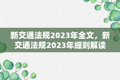 新交通法规2023年全文，新交通法规2023年细则解读