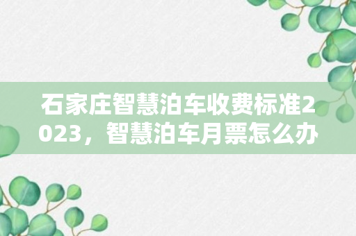 石家庄智慧泊车收费标准2023，智慧泊车月票怎么办理