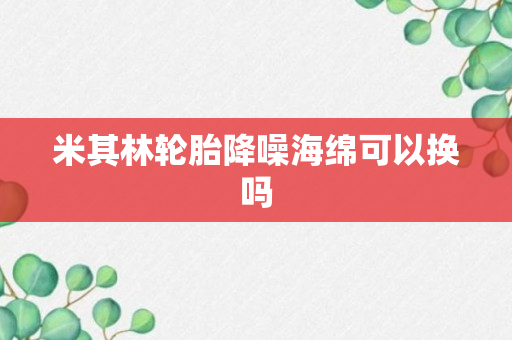 米其林轮胎降噪海绵可以换吗