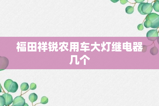 福田祥锐农用车大灯继电器几个