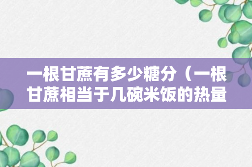 一根甘蔗有多少糖分（一根甘蔗相当于几碗米饭的热量方法）