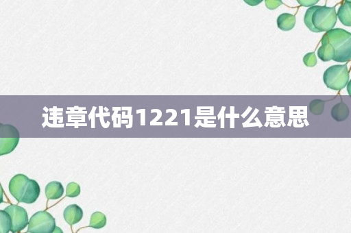 违章代码1221是什么意思