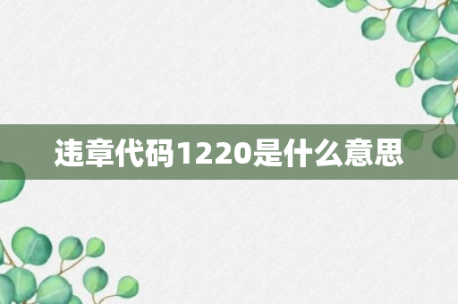 违章代码1220是什么意思