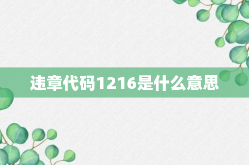 违章代码1216是什么意思