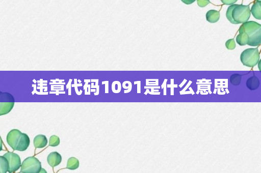 违章代码1091是什么意思