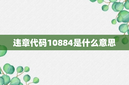 违章代码10884是什么意思