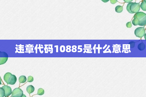 违章代码10885是什么意思