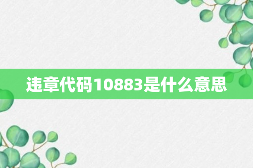 违章代码10883是什么意思