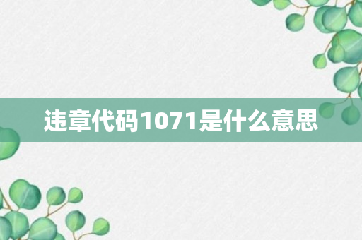 违章代码1071是什么意思