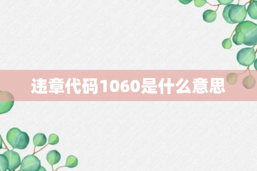 违章代码1060是什么意思