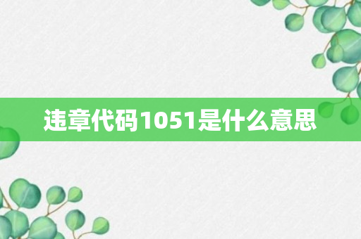 违章代码1051是什么意思