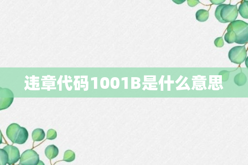 违章代码1001B是什么意思