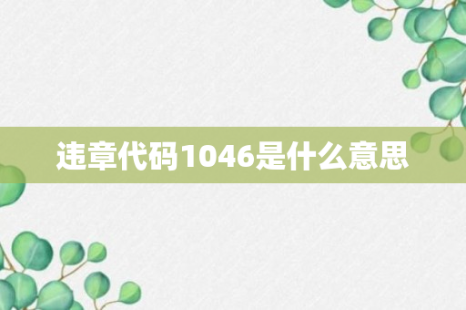 违章代码1046是什么意思