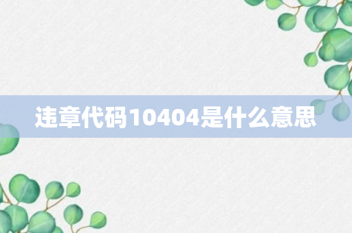 违章代码10404是什么意思