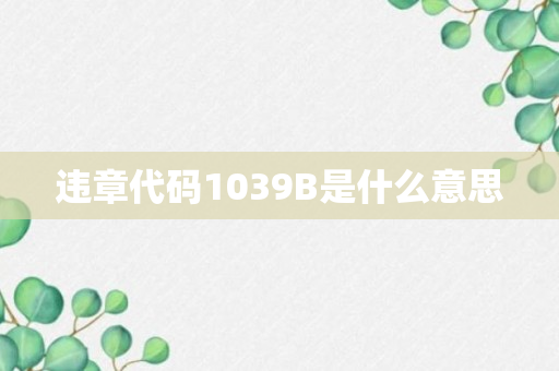 违章代码1039B是什么意思