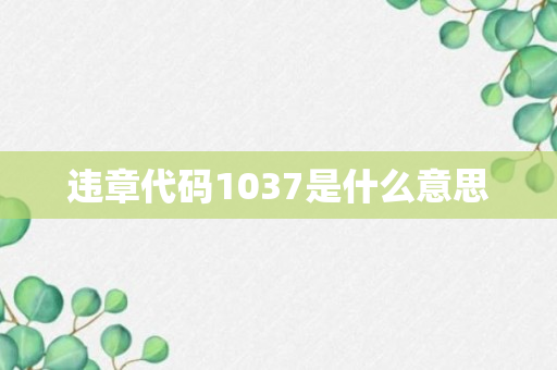 违章代码1037是什么意思