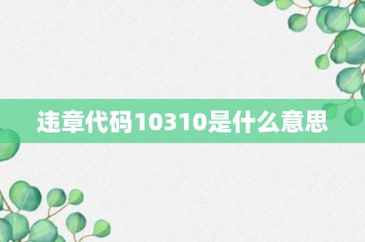 违章代码10310是什么意思