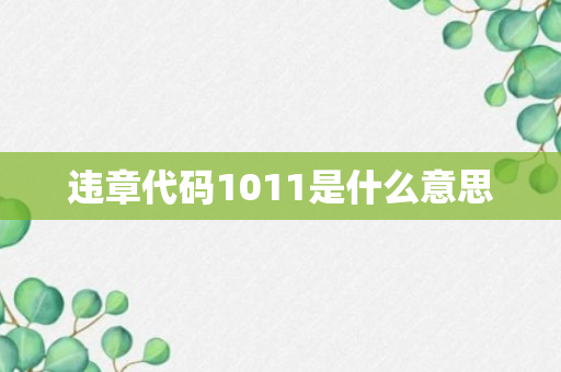 违章代码1011是什么意思