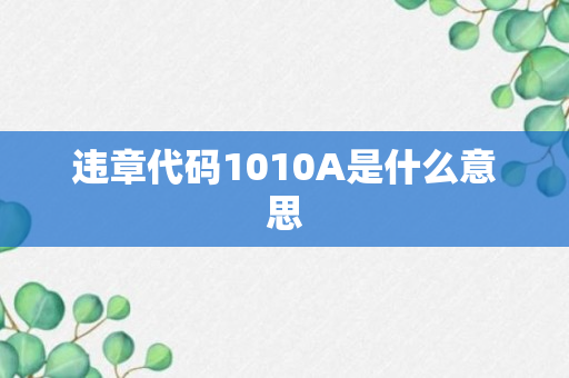 违章代码1010A是什么意思