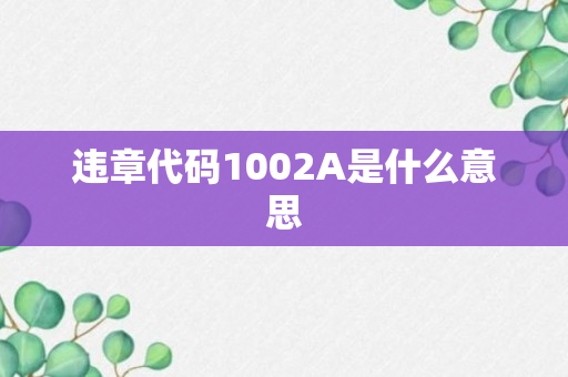 违章代码1002A是什么意思