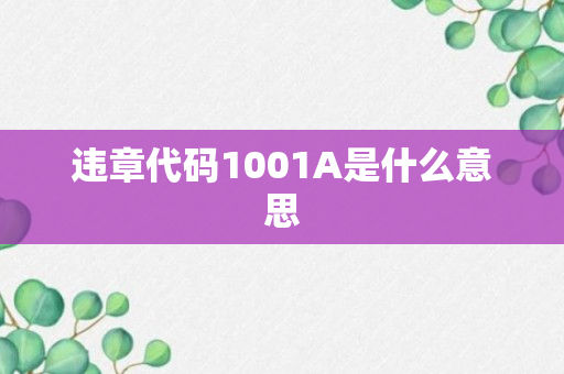 违章代码1001A是什么意思