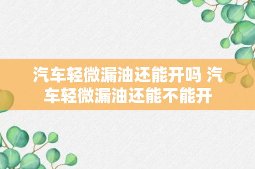 汽车轻微漏油还能开吗 汽车轻微漏油还能不能开