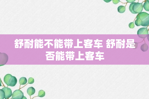 舒耐能不能带上客车 舒耐是否能带上客车