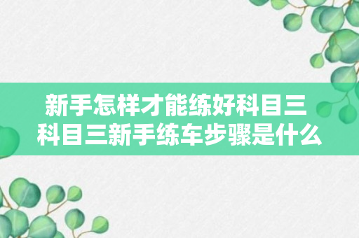 新手怎样才能练好科目三 科目三新手练车步骤是什么