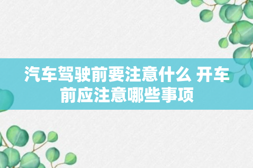 汽车驾驶前要注意什么 开车前应注意哪些事项