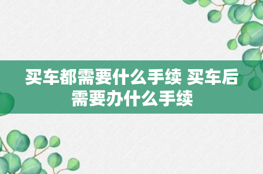 买车都需要什么手续 买车后需要办什么手续