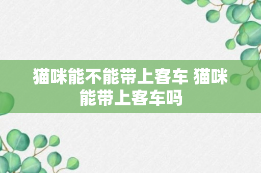 猫咪能不能带上客车 猫咪能带上客车吗