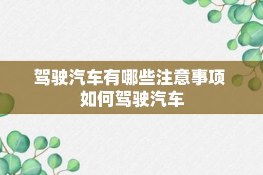 驾驶汽车有哪些注意事项 如何驾驶汽车