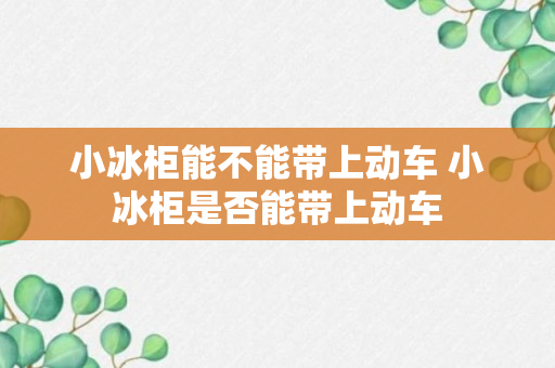 小冰柜能不能带上动车 小冰柜是否能带上动车