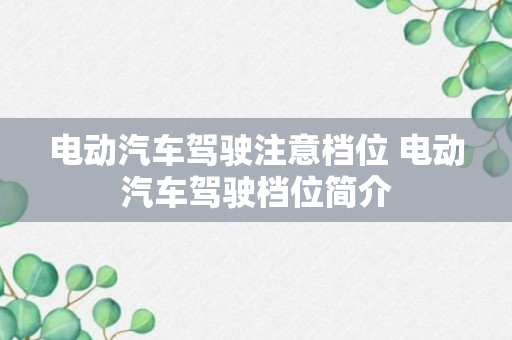 电动汽车驾驶注意档位 电动汽车驾驶档位简介