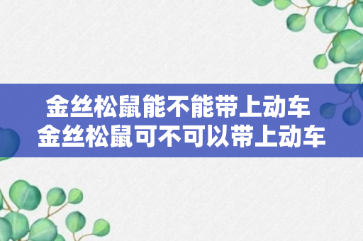 金丝松鼠能不能带上动车 金丝松鼠可不可以带上动车呢