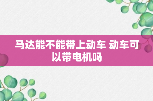 马达能不能带上动车 动车可以带电机吗