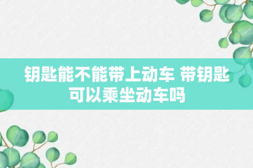 钥匙能不能带上动车 带钥匙可以乘坐动车吗