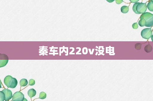 秦车内220v没电