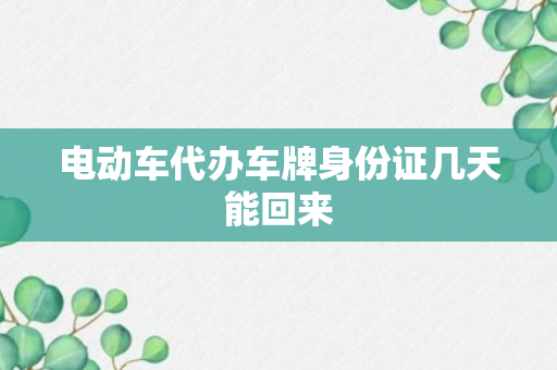 电动车代办车牌身份证几天能回来