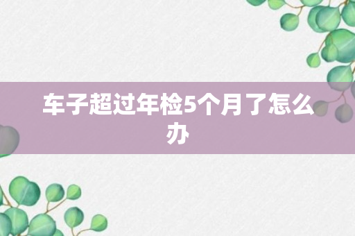 车子超过年检5个月了怎么办