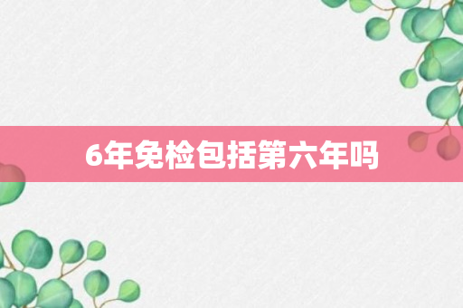 6年免检包括第六年吗