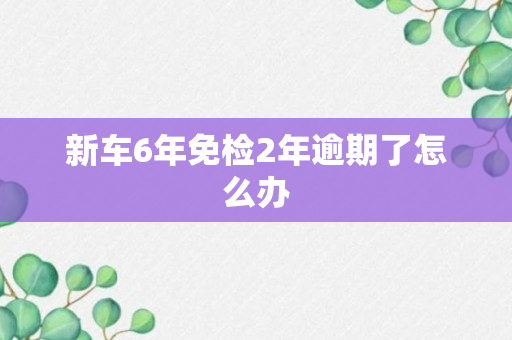 新车6年免检2年逾期了怎么办