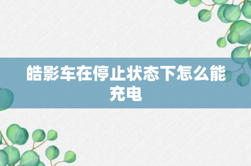 皓影车在停止状态下怎么能充电