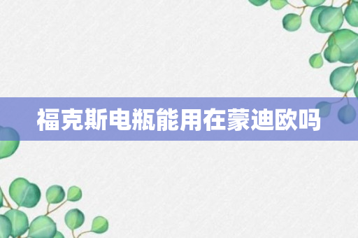 福克斯电瓶能用在蒙迪欧吗