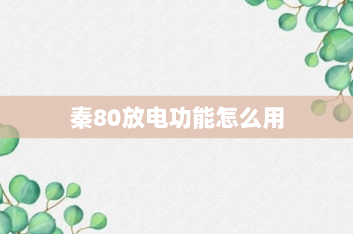 秦80放电功能怎么用