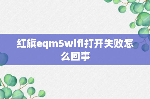 红旗eqm5wifi打开失败怎么回事