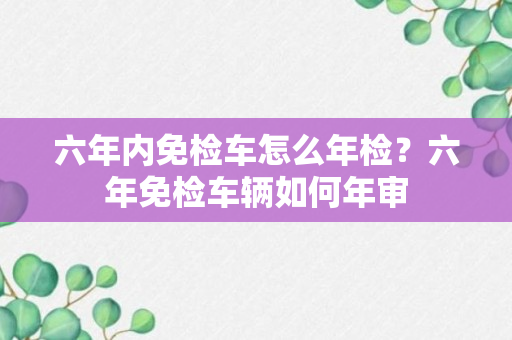 六年内免检车怎么年检？六年免检车辆如何年审