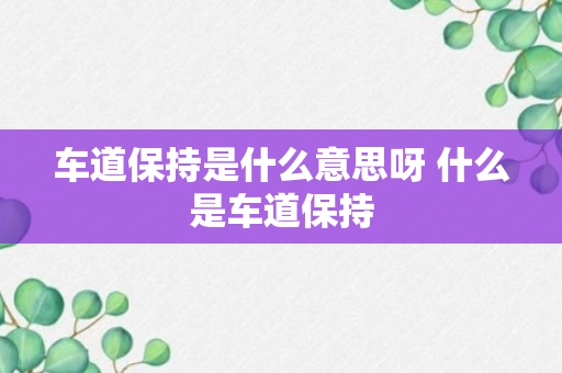 车道保持是什么意思呀 什么是车道保持