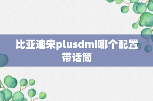 比亚迪宋plusdmi哪个配置带话筒